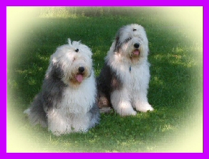 balou_nelly