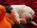 IMG_7303.jpg