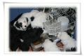 IMG_8909.jpg
